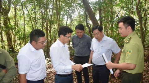 Côn Đảo giải bài toán xử lý rác như thế nào?
