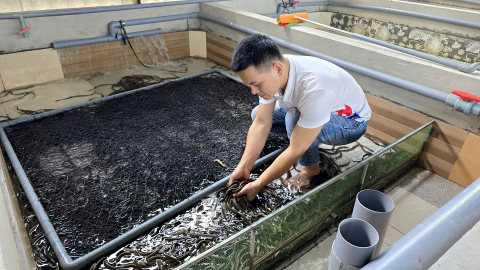 Rời phố về quê, trai làng Quảng Trị nuôi con vật này dày đặc, chưa từng bị 'quá lứa'