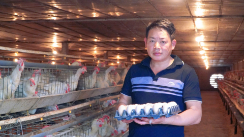 Nuôi gà đẻ trứng mấy nghìn con mà một nông dân Thái Nguyên xây nhà biệt thự giữa làng