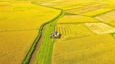Gói vay gần 6.700 tỷ đồng phát triển nông thôn 8 tỉnh miền Bắc