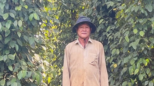 Thêm một tỷ phú Bà Rịa-Vũng Tàu là một ông nông dân 'trồng một loại cây, nuôi 2 loại con', doanh thu tiền tỷ/năm.