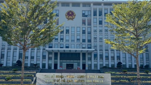 Sáp nhập đơn vị hành chính cấp tỉnh: Quy định về biên chế cán bộ công chức, viên chức như thế nào?