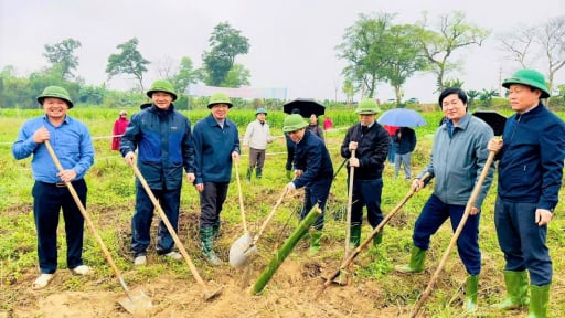 Chống sạt lở bờ sông Lam, nông dân Nghệ An háo hức trồng 2 loại cây này, ai cũng chờ đến ngày 'hái lộc' 