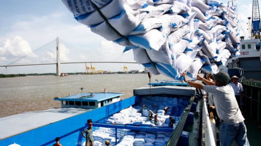 Doanh nghiệp gạo Việt Nam thua lỗ hoặc chỉ duy trì được biên lợi nhuận rất mỏng, vì sao vậy?