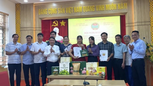 Hội Nông dân Việt Nam hỗ trợ 5 sản phẩm phát triển OCOP ở Phú Thọ