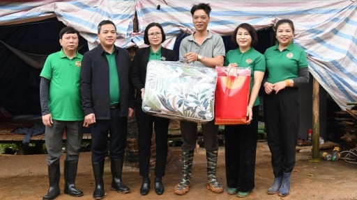 Hội Nông dân tỉnh Tuyên Quang đồng hành, hỗ trợ hội viên thoát nghèo làm giàu, có nông dân doanh thu hơn 20 tỷ/năm