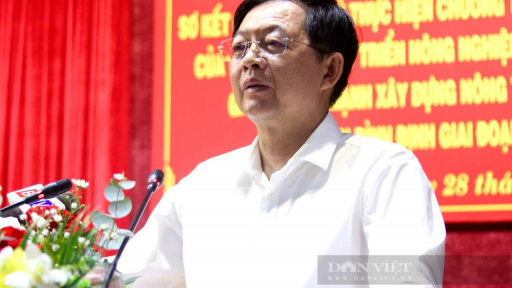 Bí thư Bình Định: 'Chọn trụ sở phải gần dân, thuận tiện giải quyết công việc, không phải vì to hơn'