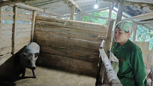 Sáp nhập Bắc Kạn - Thái Nguyên, tỉnh mới Thái Nguyên ưu tiên thực hiện các dự án mang lại lợi ích trực tiếp cho người dân