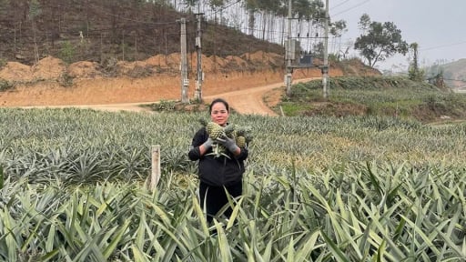 Quỹ hỗ trợ nông dân xã Minh Sơn, huyện Hữu Lũng, tỉnh Lạng Sơn: “đòn bẩy” cho những mùa dứa ngọt lành