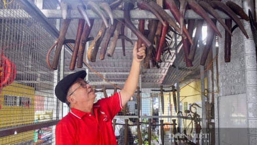 Vô nhà một người Cà Mau, bất ngờ thấy treo vô số thứ 'đồ cổ' kỳ lạ, à, mà trông quen quen!