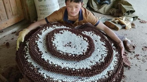 'Thuần phục sát thủ có cánh”, anh nông dân Điện Biên có thu nhập cao