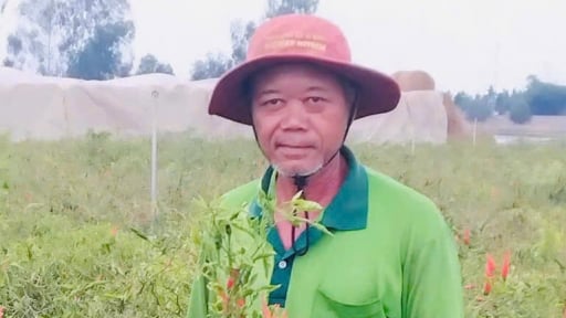 Cây đặc sản nào ở Đồng Tháp, Tiền Giang được mùa liên tiếp, nông dân vẫn thở dài nói ra câu này?