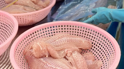 Lần đầu tiên, Lào bán được loài cá Việt Nam nuôi rất nhiều sang Trung Quốc