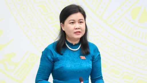 Bộ Chính trị chỉ đạo thực hiện chỉ định, bổ nhiệm lãnh đạo UBND, HĐND tại các đơn vị thực hiện sắp xếp 
