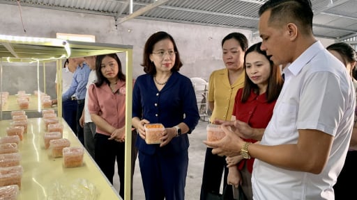 Hội Nông dân Nam Định tăng cường giám sát, phản biện từ cơ sở, bảo vệ quyền lợi của nông dân