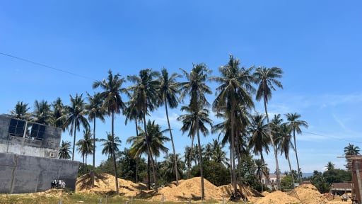 Bình Định: Hộ dân sử dụng hơn 1.500 m2 đất nhưng không được bồi thường m2 nào