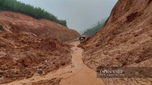 Thần tốc, chính xác, sát thực tế, Bình Định không còn 'những mùa bão bất ngờ'
