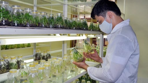 Lần đầu tiên 'đại hội' về KHCN, đổi mới sáng tạo được Bộ Nông nghiệp và Môi trường tổ chức, hàng trăm nhà khoa học, doanh nghiệp đầu ngành quy tụ tại Bắc Ninh