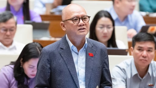 Đại biểu Quốc hội: Nhà giáo bán hàng online, chạy xe ôm, làm cò đất vì lương không đủ trang trải