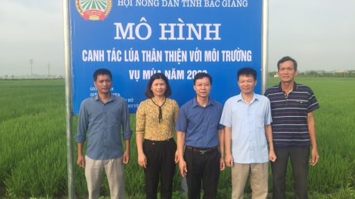 Hội Nông dân Bắc Giang đồng hành cùng hội viên phát triển kinh tế, tăng hộ khá giàu, giảm hộ nghèo khó
