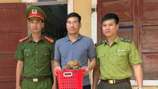 Tình cờ thấy con vật có đôi mắt rõ to, phát sáng, một người Quảng Bình bắt đem về giao nộp cho công an