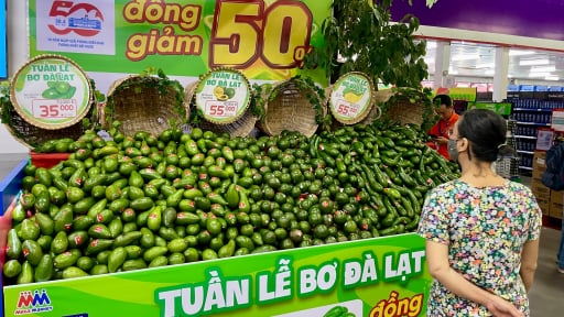 Loại trái cây đặc sản Lâm Đồng đang được đưa về TP.HCM, nhìn giá nhiều khách bất ngờ