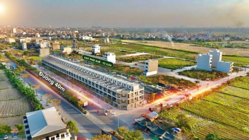 Vì sao Công ty Đại An ở Bắc Ninh phải nộp lại hơn 300 triệu đồng và bị kiến nghị thanh tra thuế?