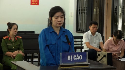 Nữ nhân viên ngân hàng dùng thủ đoạn gian dối lừa đảo chiếm đoạt tiền tỷ