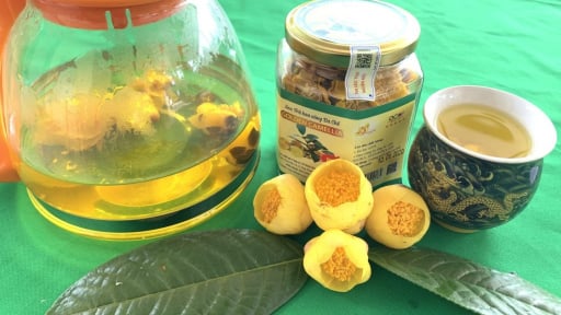 Quảng Ninh hình thành chuỗi sản phầm OCOP ở các vùng cao, sản phẩm như giá vàng, cả chục triệu đồng/kg?