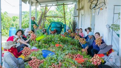 Báo Nông thôn Ngày nay là kênh thông tin hữu ích, người bạn của nông dân, bạn đọc khắp nơi