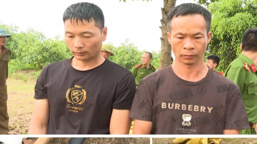 Chân dung 2 người Trung Quốc đào trộm mộ Vua Lê Túc Tông