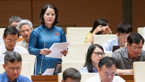 Đại biểu Quốc hội đề xuất cán bộ, công chức vào diện được tham gia bảo hiểm thất nghiệp