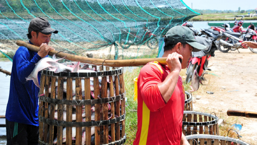 8 thách thức lớn trong triển khai Nghị quyết 68 về Kinh tế tư nhân (Bài 6)