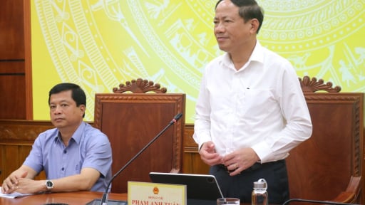 Chủ tịch Bình Định chỉ đạo 'nóng', kiểm soát chặt 100% tàu cá xuất bến, tránh vi phạm IUU ra khơi