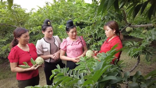 Hội Nông dân Sơn La giám sát thực hiện chính sách tín dụng phục vụ phát triển nông nghiệp - nông thôn