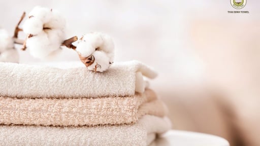 CEO Nguyễn Tự Hưng: “Tôi có 10 năm kinh nghiệm với thị trường khăn bông trước khi Thái Bình Towel ra đời”