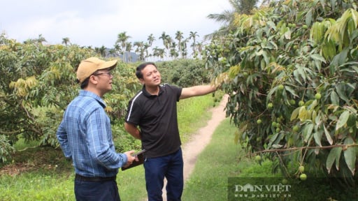 Ông Chủ tịch Hội Nông dân phường Phương Nam ở Quảng Ninh tận tâm công tác, hội viên đang khá giả lên