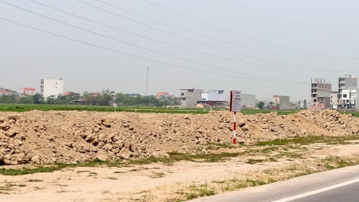 Trước khi sáp nhập với Bắc Ninh, Chủ tịch UBND tỉnh Bắc Giang chỉ đạo làm ngay một việc, chuẩn bị bán 165.000 tấn quả đặc sản đi khắp toàn cầu