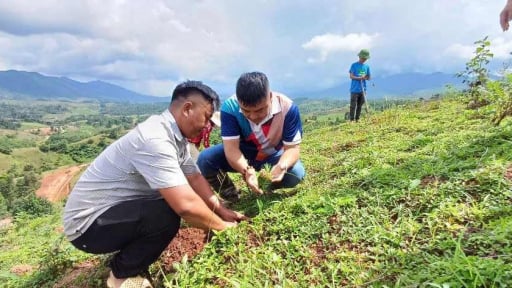 Làm giàu những cánh rừng, người dân một huyện của tỉnh Điện Biên được nhận tiền dịch vụ chi trả môi trường rừng