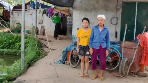 'Tôi già yếu, không biết có thể nuôi cháu ăn học tới đâu' 