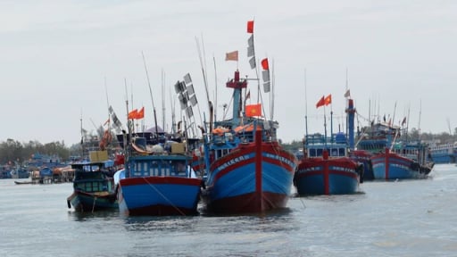 Trung Quốc thông báo cấm đánh bắt cá có thời hạn, Hội Thủy sản Việt Nam kiến nghị có giải pháp bảo vệ ngư dân bám biển