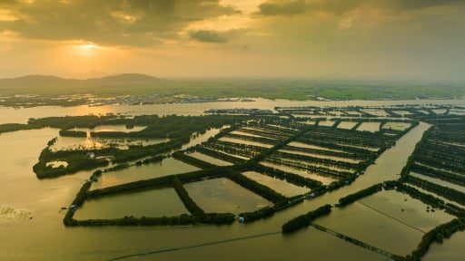 Nghiên cứu xử lý cát nhiễm mặn san nền dự án cao tốc Quy Nhơn – Pleiku