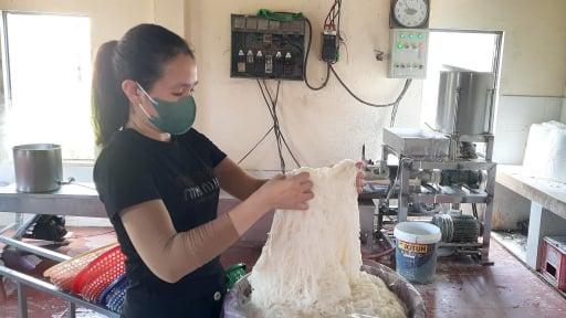 Di dời các hộ làm nghề ra khỏi khu dân cư, làng bún nổi tiếng của tỉnh Quảng Trị từng bước xử lý vấn đề ô nhiễm môi trường