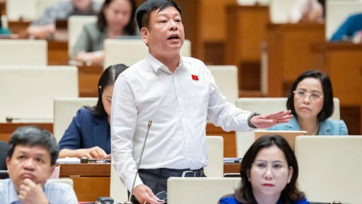 Đề nghị không 'đánh thuế đặc biệt' đối với xăng: Những lý lẽ từ nghị trường