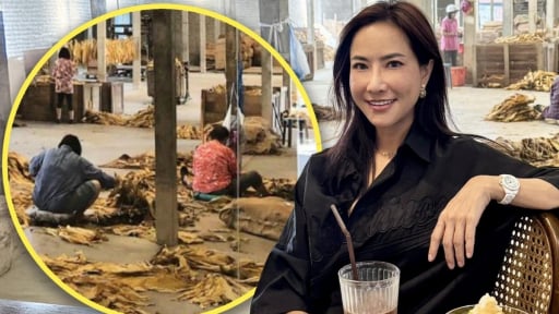 Nữ chính trị gia Thái Lan gây phẫn nộ vì hành động vô ý tại 'sở thú người'
