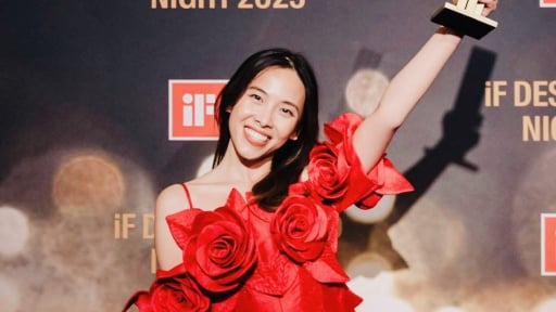 Nữ sinh Việt từng đoạt giải Nhất tại Đại học Harvard tiếp tục 'ẵm' giải Vàng toàn cầu