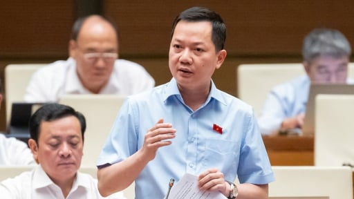 Đại biểu Quốc hội: 'Một hoa hậu, một diễn viên không biết gì về sản phẩm nhưng vẫn quảng cáo'