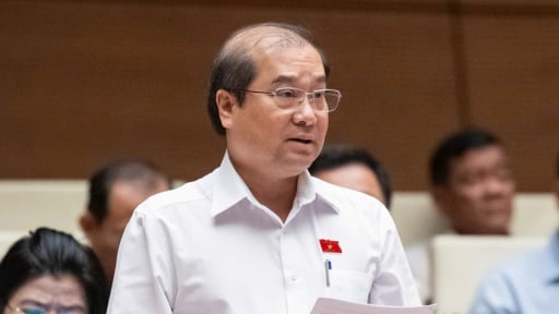Đại biểu Quốc hội 'rất bực bội' khi quảng cáo trực tuyến xuất hiện dày đặc
