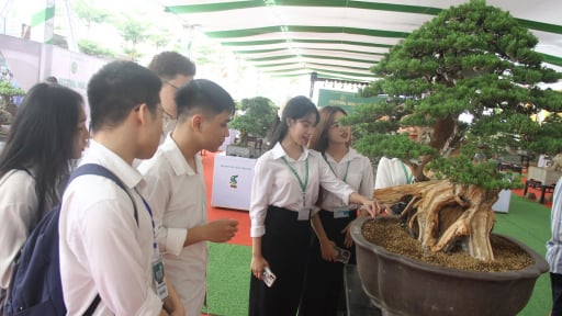 Ngành hàng trị giá 45.000 tỷ đồng, xuất khẩu 100 triệu USD đang 'khát' nguồn nhân lực chất lượng cao