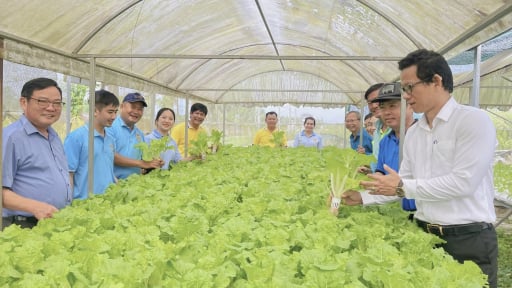 Đà Nẵng: Hội Nông dân quận Liên Chiểu là điểm tựa cho hội viên từ các chi, tổ hội nghề nghiệp làm nghề, vững nghiệp